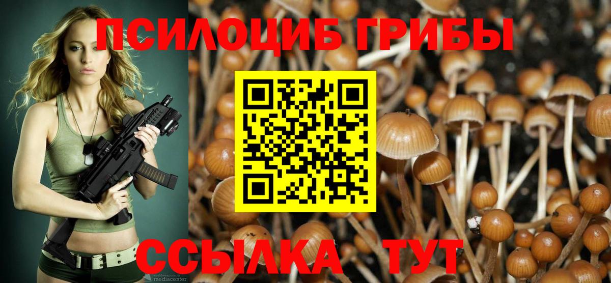 Галлюциногенные грибы Psilocybe  Вход с VPN  Галлюциногенные грибы Psilocybine cubensis  Людиново 
